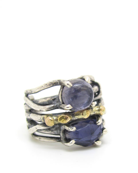 Double Iolite 14 Karat Gold Mixed Metals Ring