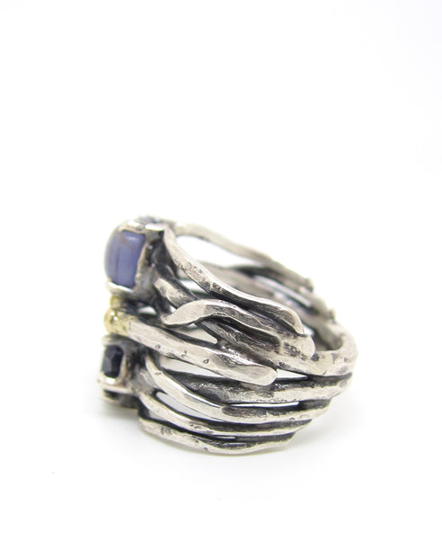 Double Iolite 14 Karat Gold Mixed Metals Ring