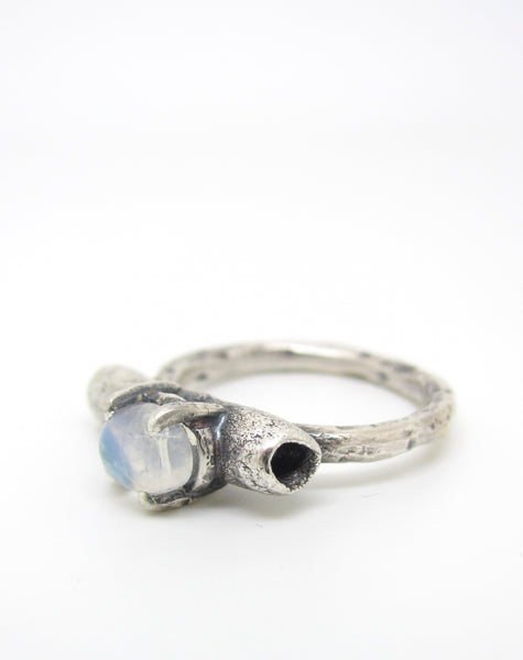 Single Woodland Decay Moonstone Ring