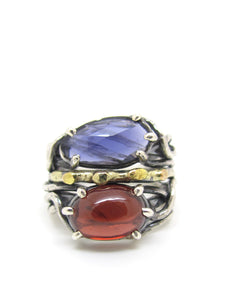 Iolite and Garnet Dressed in Gold Ring