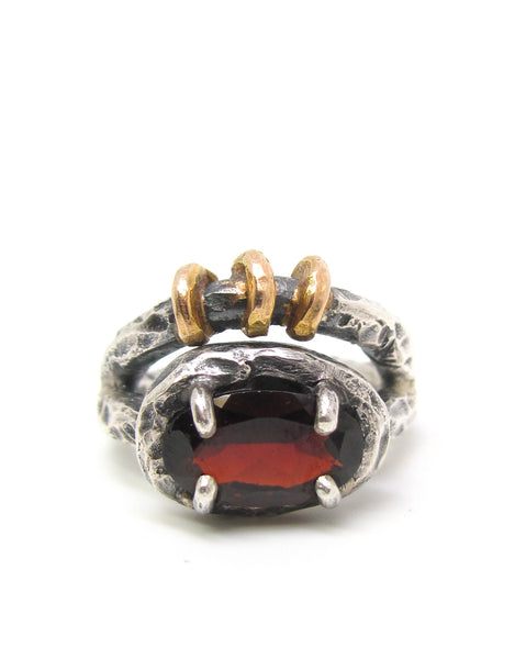 The Raven's Ring